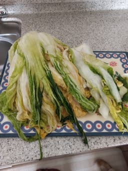 리뷰이미지