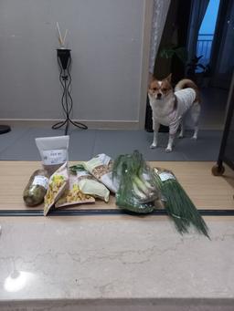 리뷰이미지