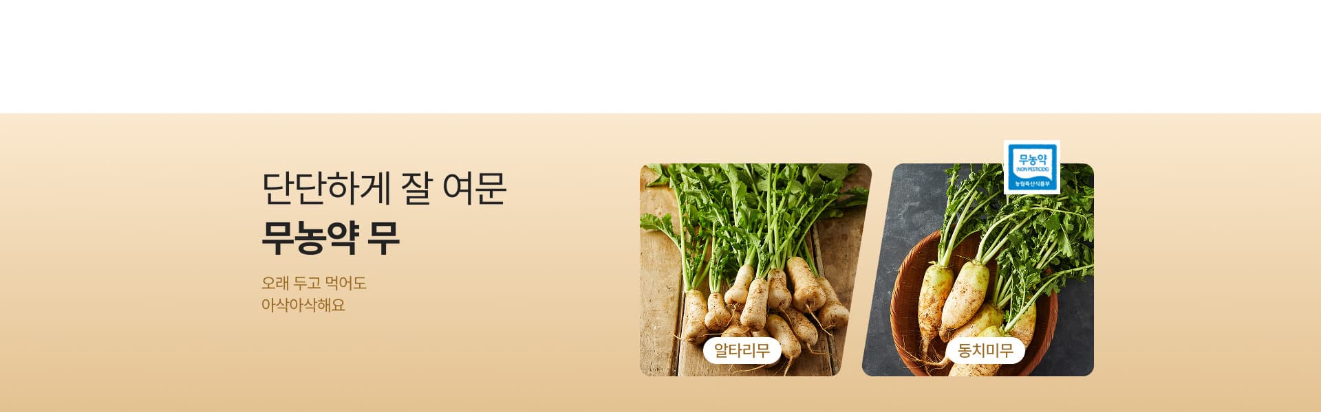 2026 알타리무&동치미무