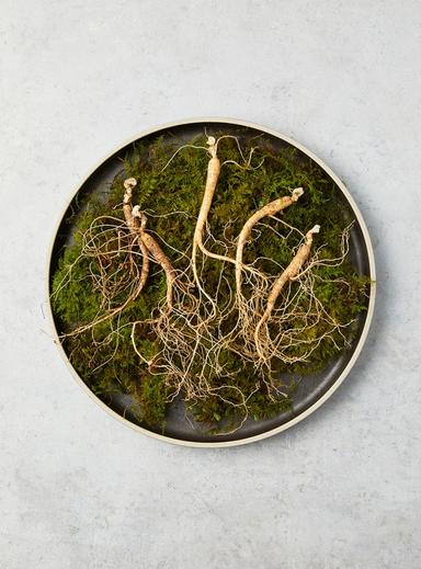 7~8년근 산양산삼 (실속형10뿌리)