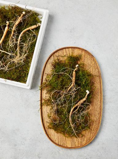 7~8년근 산양산삼 (실속형20뿌리)