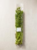무농약이상 미나리(300g)