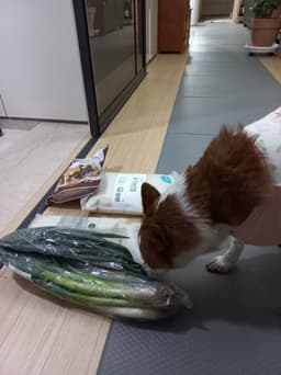 리뷰이미지