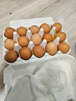 리뷰이미지