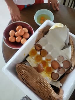 리뷰이미지