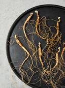 7~8년근 산양산삼 (실속형7뿌리)