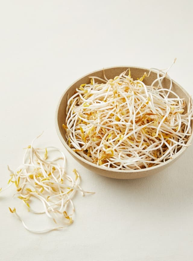 무농약 숙주나물 (300g)