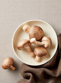 무농약 솔송화버섯 (150g)