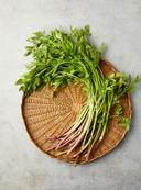 무농약이상 청도한재미나리 (200g)